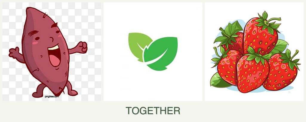 Can you plant sweet potatoes, mint and strawberries together?