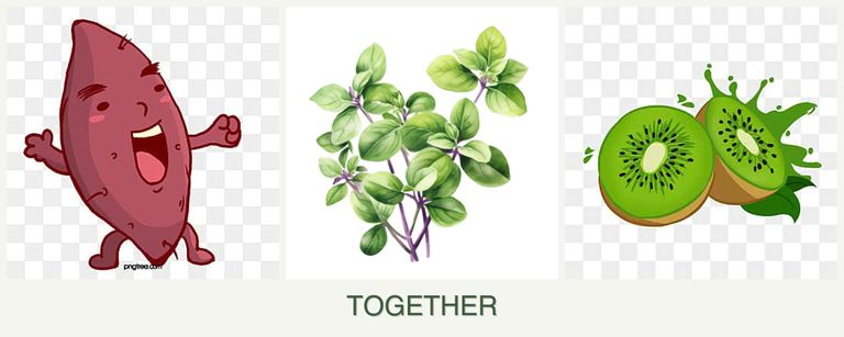 Can you plant sweet potatoes, oregano and kiwi together?
