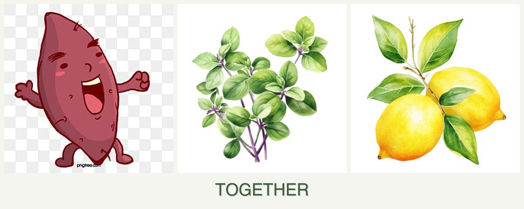 Can you plant sweet potatoes, oregano and lemons together?