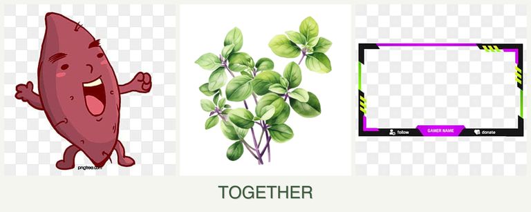Can you plant sweet potatoes, oregano and limes together?