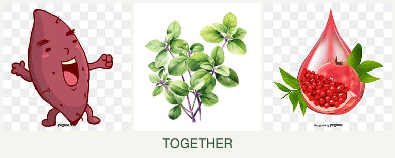 Can you plant sweet potatoes, oregano and pomegranates together?