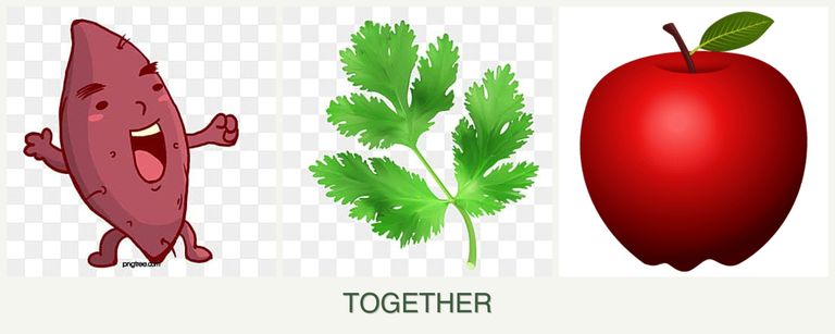 Can you plant sweet potatoes, parsley and apples together?