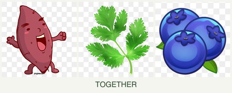 Can you plant sweet potatoes, parsley and blueberries together?