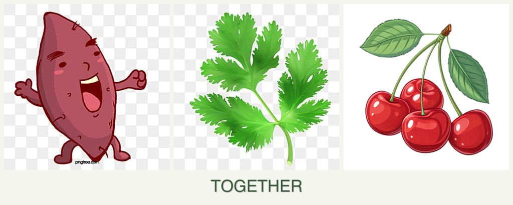 Can you plant sweet potatoes, parsley and cherries together?