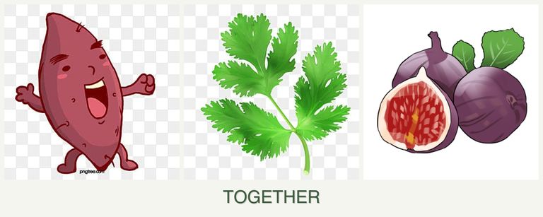 Can you plant sweet potatoes, parsley and figs together?