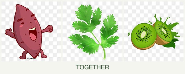 Can you plant sweet potatoes, parsley and kiwi together?