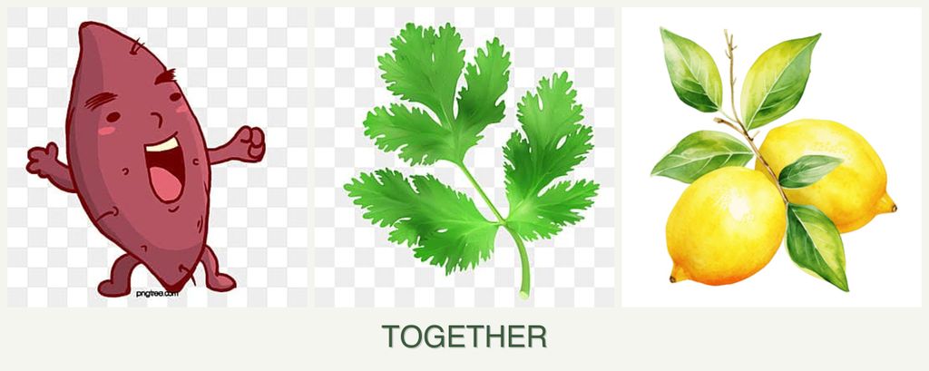 Can you plant sweet potatoes, parsley and lemons together?