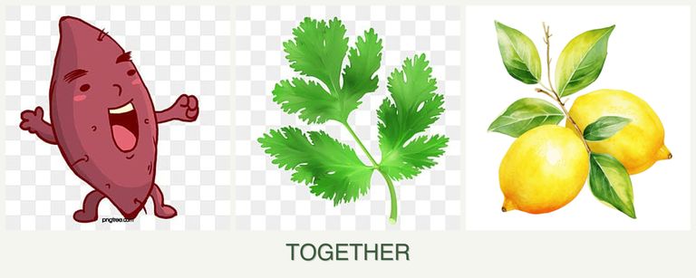 Can you plant sweet potatoes, parsley and lemons together?