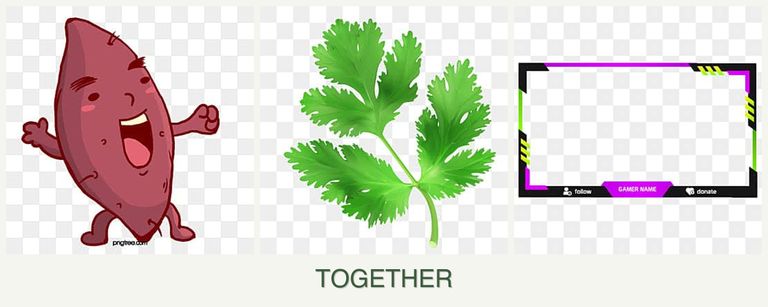 Can you plant sweet potatoes, parsley and limes together?