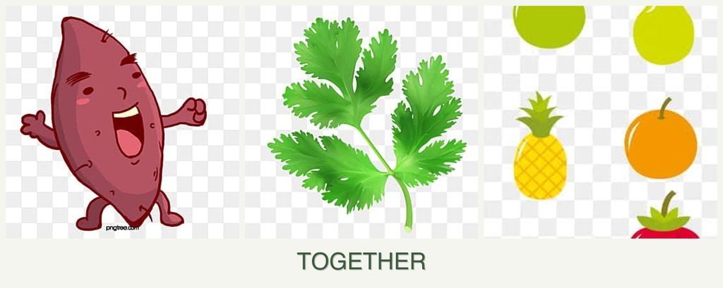 Can you plant sweet potatoes, parsley and pears together?