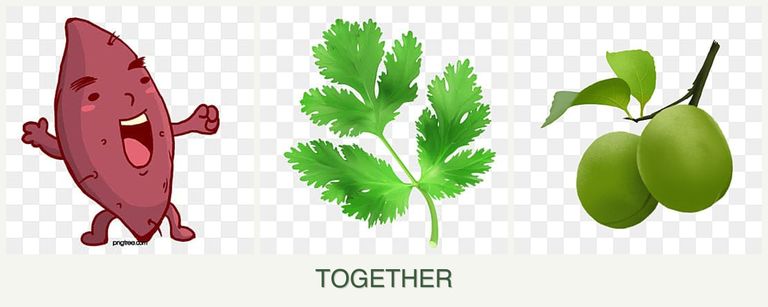 Can you plant sweet potatoes, parsley and plums together?