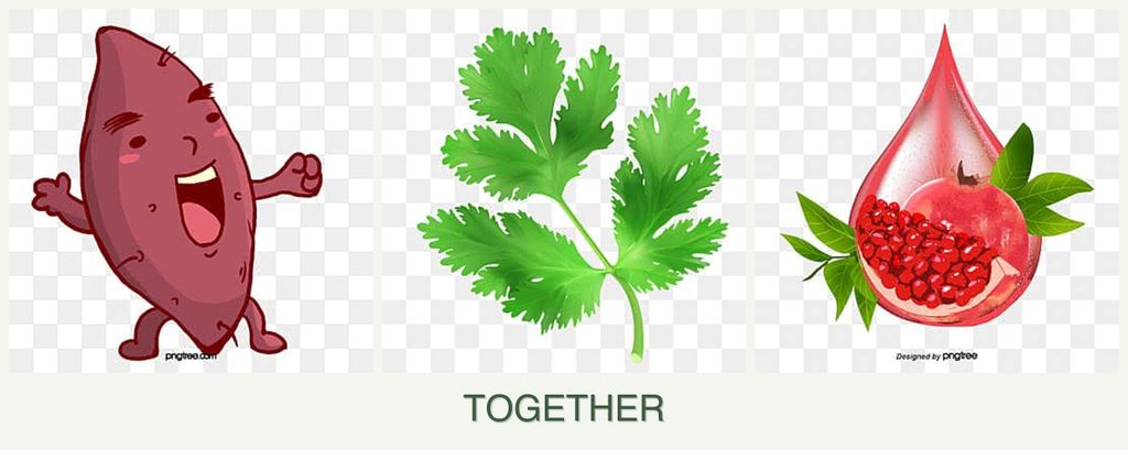 Can you plant sweet potatoes, parsley and pomegranates together?