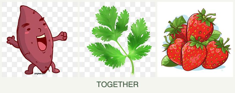 Can you plant sweet potatoes, parsley and strawberries together?