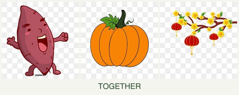 Can you plant sweet potatoes, pumpkin and apricots together?