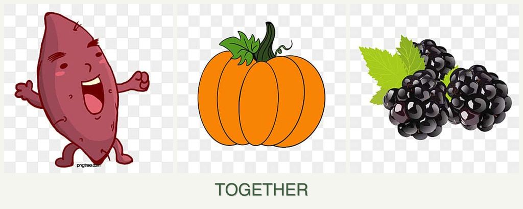 Can you plant sweet potatoes, pumpkin and blackberries together?