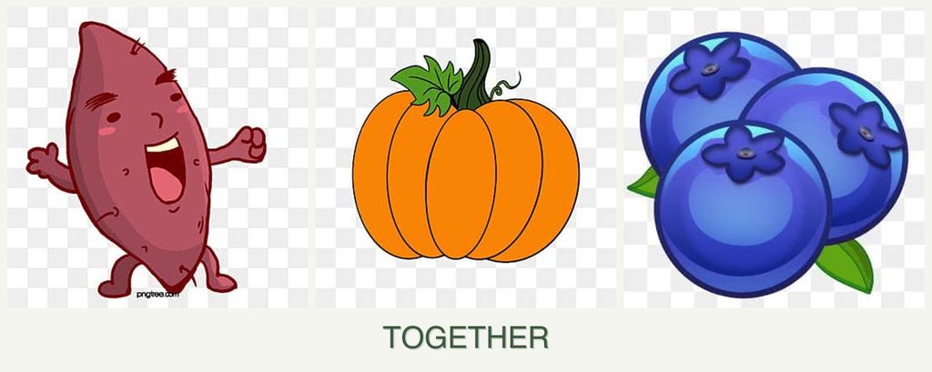 Can you plant sweet potatoes, pumpkin and blueberries together?