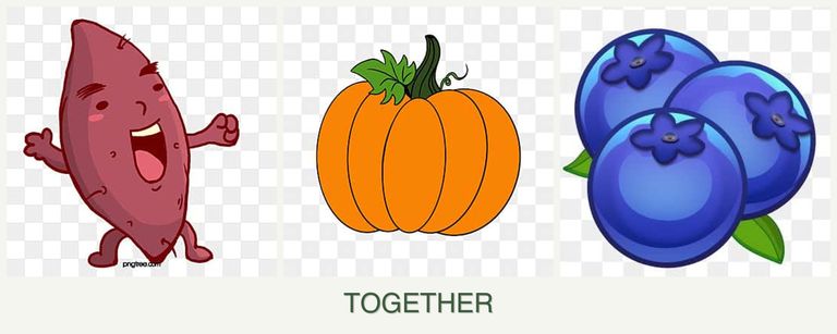Can you plant sweet potatoes, pumpkin and blueberries together?