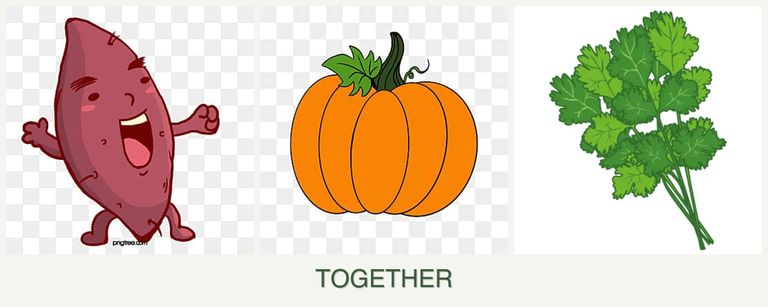 Can you plant sweet potatoes, pumpkin and cilantro together?
