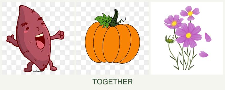 Can you plant sweet potatoes, pumpkin and cosmos together?