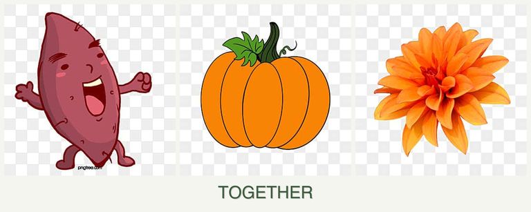 Can you plant sweet potatoes, pumpkin and dahlias together?