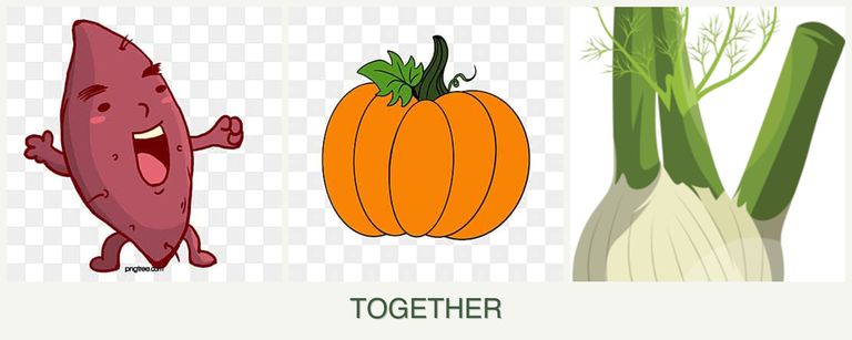 Can you plant sweet potatoes, pumpkin and fennel together?