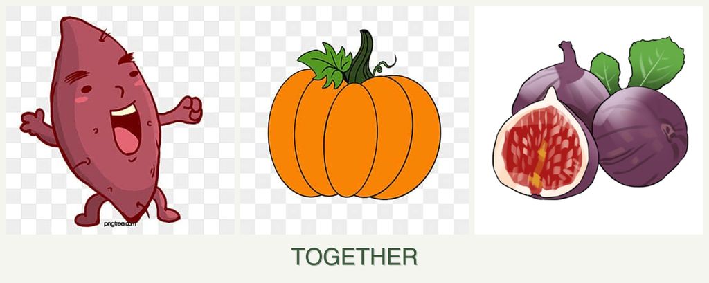 Can you plant sweet potatoes, pumpkin and figs together?