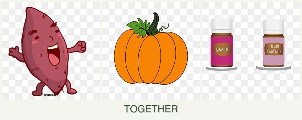 Can you plant sweet potatoes, pumpkin and geraniums together?