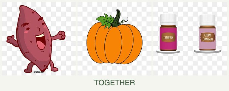 Can you plant sweet potatoes, pumpkin and geraniums together?