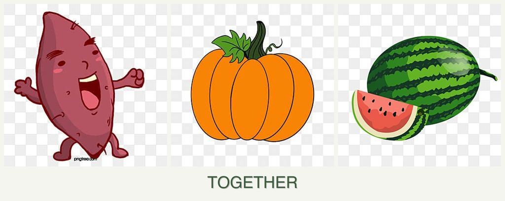 Can you plant sweet potatoes, pumpkin and melons together?