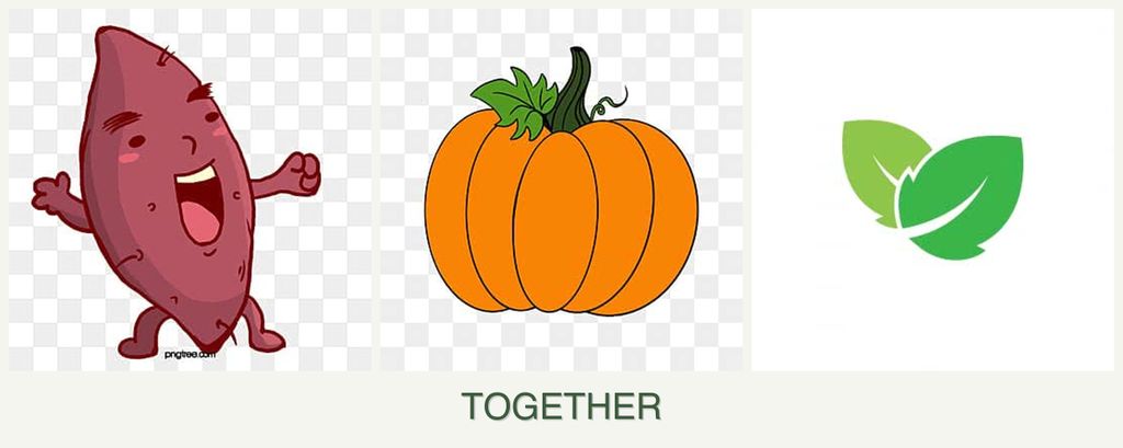 Can you plant sweet potatoes, pumpkin and mint together?