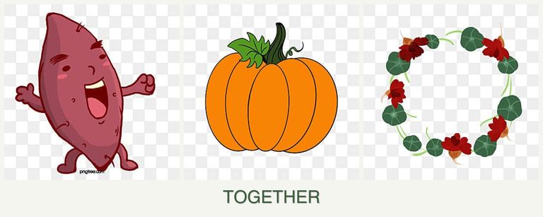 Can you plant sweet potatoes, pumpkin and nasturtiums together?