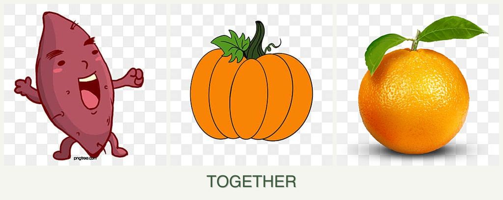 Can you plant sweet potatoes, pumpkin and oranges together?