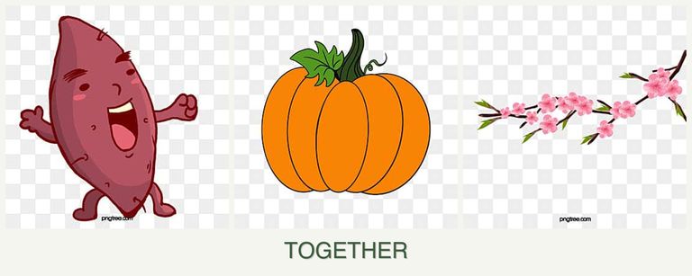 Can you plant sweet potatoes, pumpkin and peaches together?