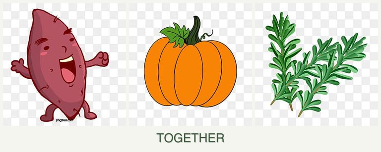 Can you plant sweet potatoes, pumpkin and rosemary together?