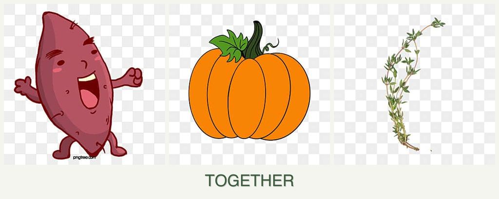 Can you plant sweet potatoes, pumpkin and thyme together?