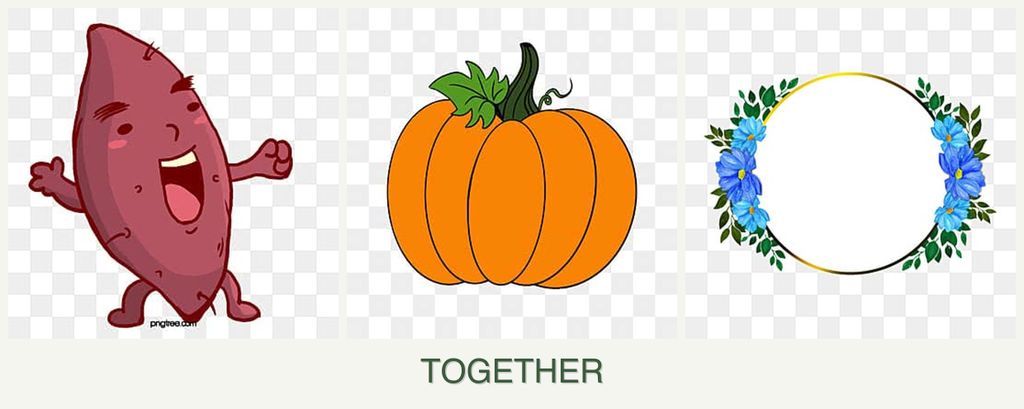 Can you plant sweet potatoes, pumpkin and zinnias together?