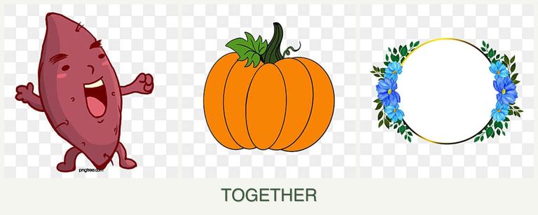 Can you plant sweet potatoes, pumpkin and zinnias together?