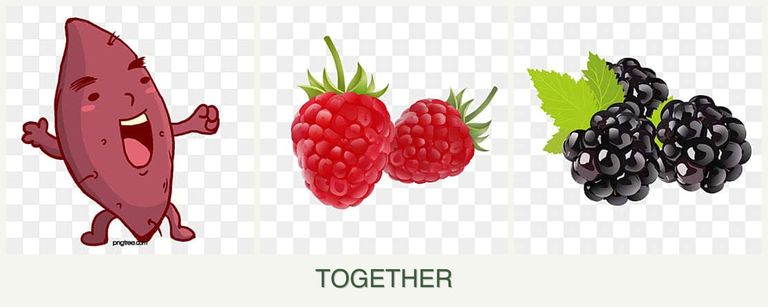 Can you plant sweet potatoes, raspberries and blackberries together?