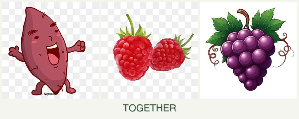 Can you plant sweet potatoes, raspberries and grapes together?