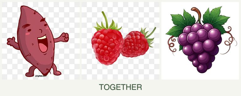 Can you plant sweet potatoes, raspberries and grapes together?