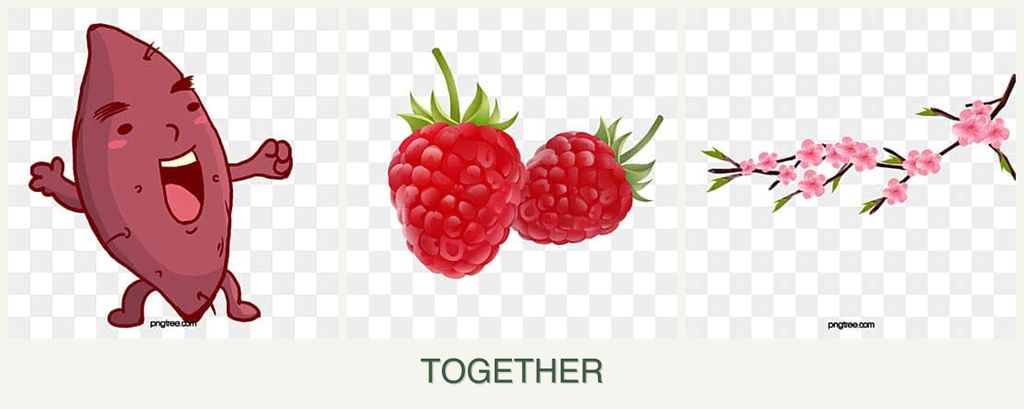 Can you plant sweet potatoes, raspberries and peaches together?