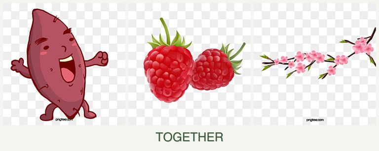 Can you plant sweet potatoes, raspberries and peaches together?
