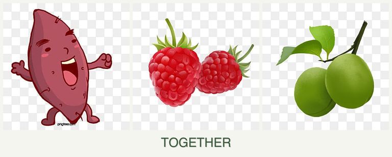 Can you plant sweet potatoes, raspberries and plums together?