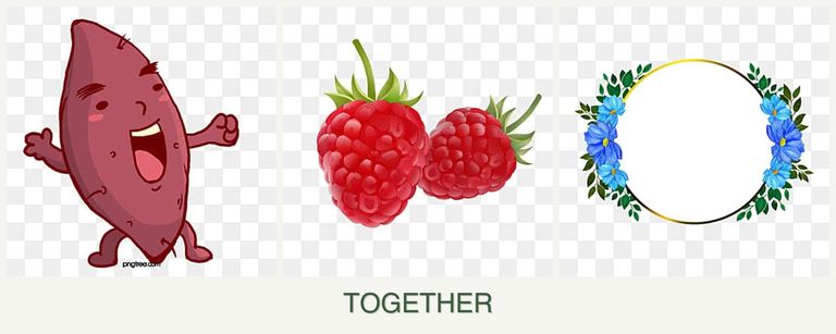 Can you plant sweet potatoes, raspberries and zinnias together?