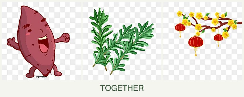 Can you plant sweet potatoes, rosemary and apricots together?