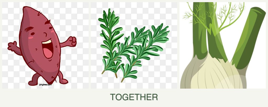 Can you plant sweet potatoes, rosemary and fennel together?
