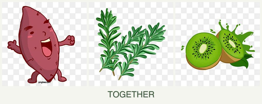 Can you plant sweet potatoes, rosemary and kiwi together?