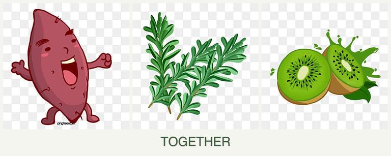 Can you plant sweet potatoes, rosemary and kiwi together?
