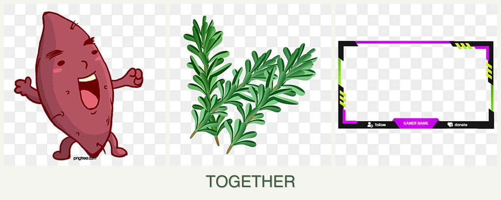 Can you plant sweet potatoes, rosemary and limes together?