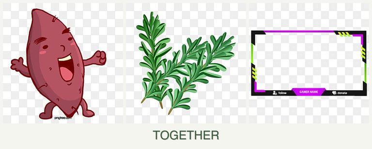 Can you plant sweet potatoes, rosemary and limes together?